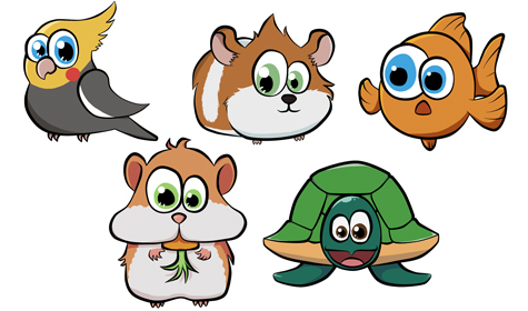 Grafische illustraties van een vogel, cavia, vis, hamster en schildpad